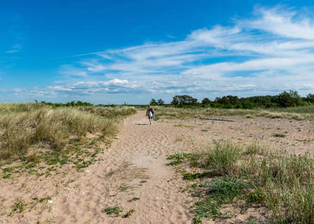 beautiful summer day with the flowering shore of Saaremaa, sandy footpath in the sand dunes, Harilaid Nature Reserve, Estonia, Baltic Seaの写真素材