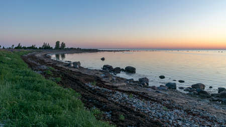 beautiful summer sunset landscape with sea cabbage, Crambe maritima, which grows on the coast of the Estonian island of Saaremaa, Cape Undva, Tagamoisa peninsulaの写真素材