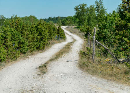 traditional summer landscape with white pebble road, Saaremaa island, Estoniaの写真素材