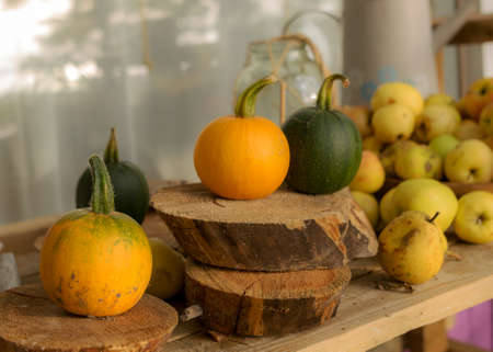 composition of small pumpkins and apples, wooden disc base, Halloween time, autumnの写真素材