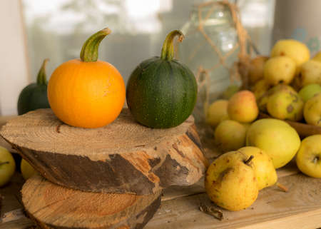 composition of small pumpkins and apples, wooden disc base, Halloween time, autumnの写真素材