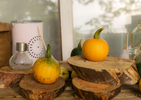 composition of small pumpkins and apples, wooden disc base, Halloween time, autumnの写真素材