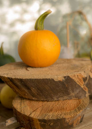 composition of small pumpkins and apples, wooden disc base, Halloween time, autumnの写真素材