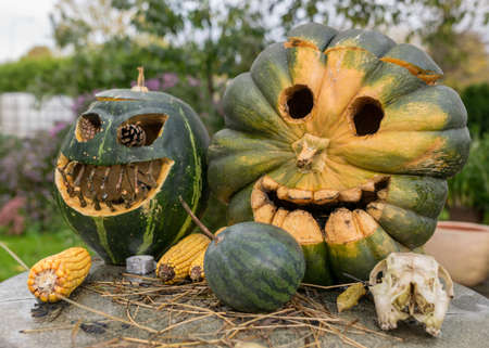 carved decorative pumpkins in the garden, Halloween, pumpkin decor, corn and skull, autumn timeの写真素材