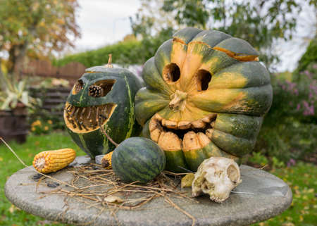 carved decorative pumpkins in the garden, Halloween, pumpkin decor, corn and skull, autumn timeの写真素材