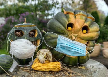 carved decorative pumpkins with face mask in the garden, coronavirus (covid-19) time, halloween, autumn timeの写真素材