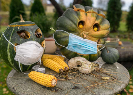 carved decorative pumpkins with face mask in the garden, coronavirus (covid-19) time, halloween, autumn timeの写真素材