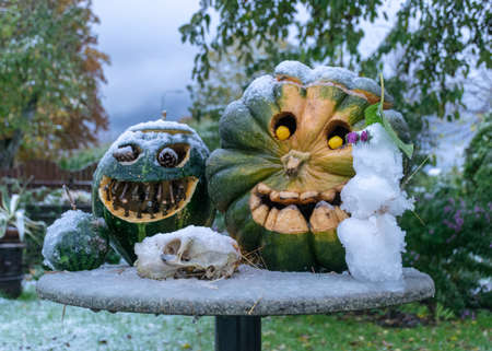 first snow, carved decorative pumpkins in the garden, a little snowman next to pumpkin decors, first snow on pumpkin decors, halloween, autumn timeの写真素材