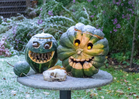 carved decorative pumpkins in the garden, halloween, pumpkin decor, autumn timeの写真素材