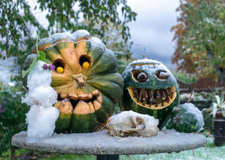 first snow, carved decorative pumpkins in the garden, first snow on pumpkin decors, halloween, pumpkin decor, autumn timeの写真素材