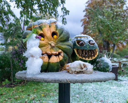 first snow, carved decorative pumpkins in the garden, a little snowman next to pumpkin decors, first snow on pumpkin decors, halloween, autumn timeの写真素材