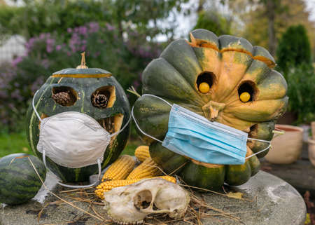 carved decorative pumpkins with face mask in the garden, coronavirus (covid-19) time, halloween, autumn timeの写真素材