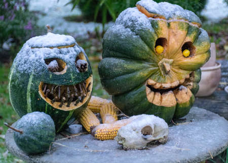 first snow, carved decorative pumpkins in the garden, first snow on pumpkin decors, halloween, pumpkin decor, autumn timeの写真素材