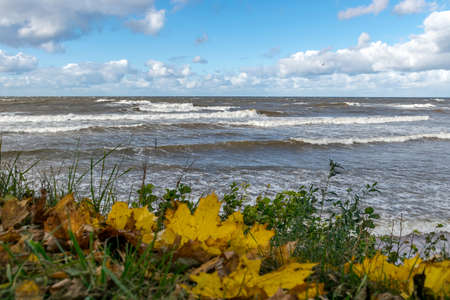 beautiful and sunny autumn seascape, waves crashing against the shore, foreground autumn leaves and grass backgroundの写真素材