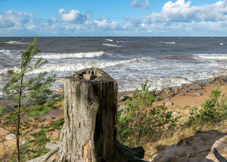 beautiful seascape with sea waves crashing on the shore and exploding, beautiful blue skies and white clouds over the sea, Vidzeme rocky seashore, Salacgriva rural area, Latviaの写真素材