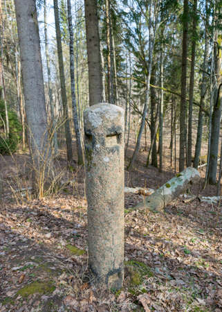 concrete pole fence stakes in an old and abandoned church park, early spring in natureの写真素材