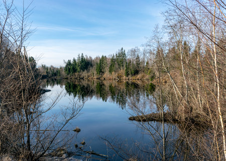spring landscape on a small wild pond, blue sky reflected on a calm water surfaceの写真素材