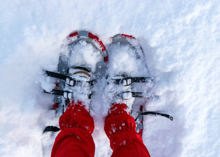 snowshoes for swamp waders, sunny and cold weather, perfect snow conditions, Latvian swamp in winterの写真素材