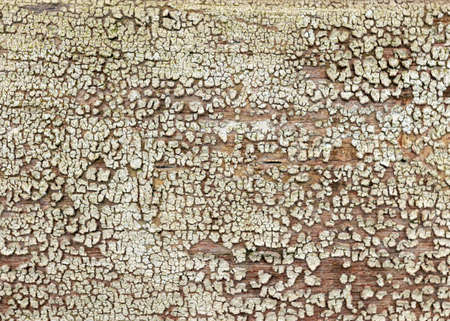 abstract image with old color texture on old wooden board wall, beautiful texture, wallpaperの写真素材