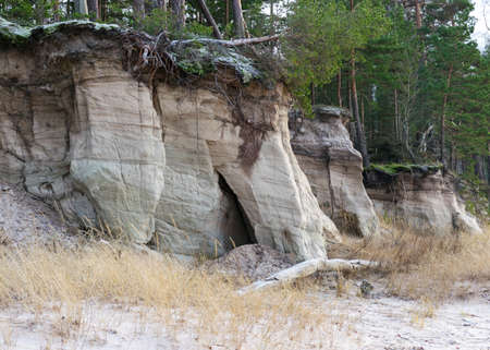 Land outcrops. The outcrops are mainly composed of fine-grained to medium-grained sandstone and alternating layers of clayey siltstone sediments. Zivtinu rocks in Salacgriva region, Latviaの写真素材