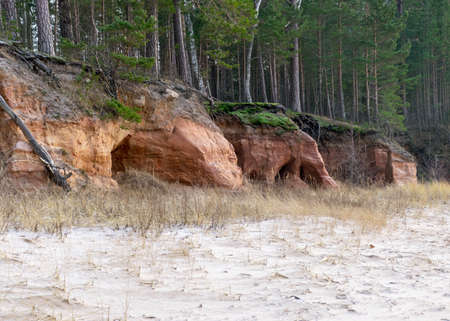 Sea cliff with Devonian sandstone outcrops. During the storm, niches and caves were washed away in the sandstones, sandstone columns were formed, Ezurgu cliffs in Salacgriva region, Liepupe parish, Latviaの写真素材