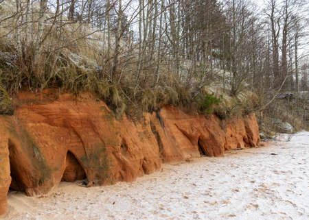 Sea cliff with Devonian sandstone outcrops. During the storm, niches and caves were washed away in the sandstones, sandstone columns were formed, Ezurgu cliffs in Salacgriva region, Liepupe parish, Latviaの写真素材