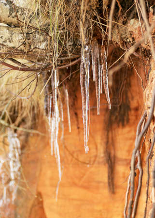 sandstone cliff. ice icicles at the sandstone cliff wall, Wild beach Baltic coast in December. Vidzeme rocky seashore, Tuja, Kurmrags, Latvia.の写真素材