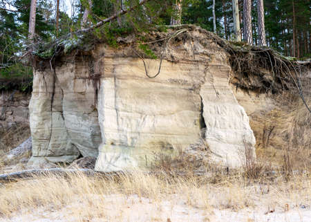 Land outcrops. The outcrops are mainly composed of fine-grained to medium-grained sandstone and alternating layers of clayey siltstone sediments. Zivtinu rocks in Salacgriva region, Latviaの写真素材