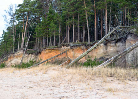 Land outcrops. The outcrops are mainly composed of fine-grained to medium-grained sandstone and alternating layers of clayey siltstone sediments. Zivtinu rocks in Salacgriva region, Latviaの写真素材