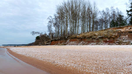 winter landscape with sandy beach, wild sea shore, red sand and clay outcrops on the sea shore, tree silhouettes on the shore, Vidzeme rocky sea shore, Tuja, Latviaの写真素材