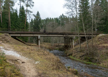bridge over a small wild river, with many bends, beautiful conifers overgrown river banks, autumn time in nature, Strikupe, Cesu district, Latviaの写真素材