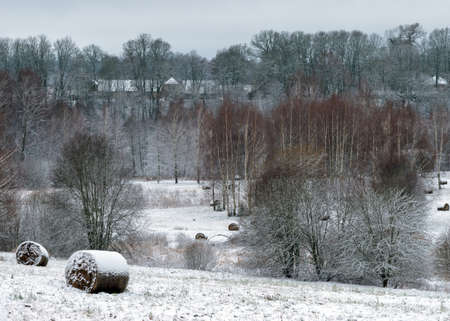 winter landscape with snowy land in the foreground, trees and fields covered with snow, winter dayの写真素材
