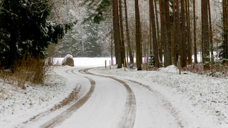 winter landscape with a snowy country road and snow-covered trees on the side of the road, winter dayの写真素材
