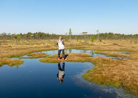 beautiful swamp landscape with blue sky and water, woman enjoys swamp landscape, hike with snowshoes in swamp, traditional swamp plants, mosses and trees, bog in summerの写真素材