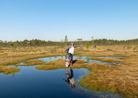 beautiful swamp landscape with blue sky and water, woman enjoys swamp landscape, hike with snowshoes in swamp, traditional swamp plants, mosses and trees, bog in summerの写真素材