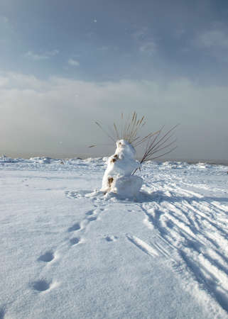 beautiful winter landscape with white snowman, dry reed hair, sea shore, winter dayの写真素材