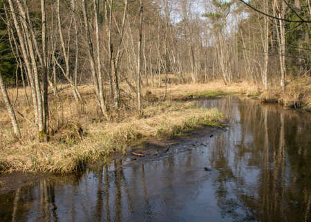 early spring landscape with a small wild river, bare trees, reflections in the water, dry grass on the river banks, Stikupe, Vaidava, Latviaの写真素材