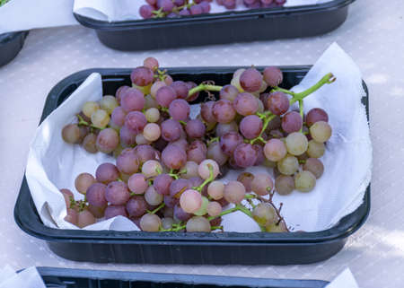 picture with grapes of different shapes and colors on the table, grape tasting and tasting conceptの写真素材