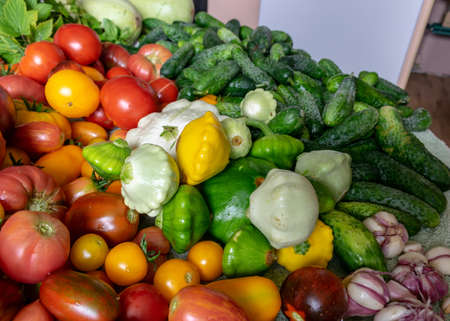 color photo with autumn vegetables on the table, different colors, shapes and types of vegetables prepared for home canning, vegetable fragments, autumn harvest timeの写真素材