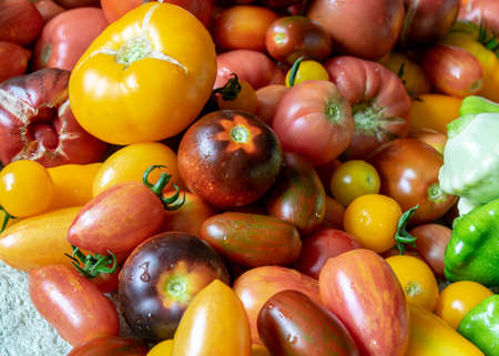 color photo with autumn vegetables on the table, different colors, shapes and types of vegetables prepared for home canning, vegetable fragments, autumn harvest timeの写真素材