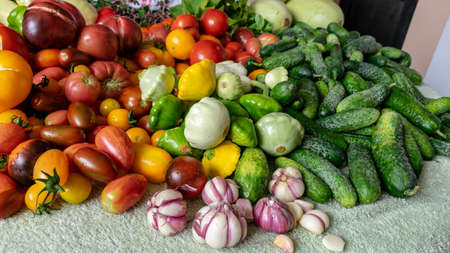 color photo with autumn vegetables on the table, different colors, shapes and types of vegetables prepared for home canning, vegetable fragments, autumn harvest timeの写真素材
