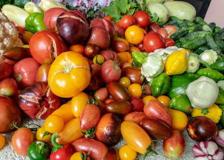 color photo with autumn vegetables on the table, different colors, shapes and types of vegetables prepared for home canning, vegetable fragments, autumn harvest timeの写真素材