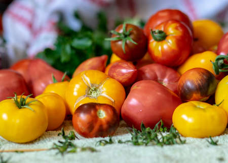 color photo with autumn vegetables on the table, different colors, shapes and types of vegetables prepared for home canning, vegetable fragments, autumn harvest timeの写真素材
