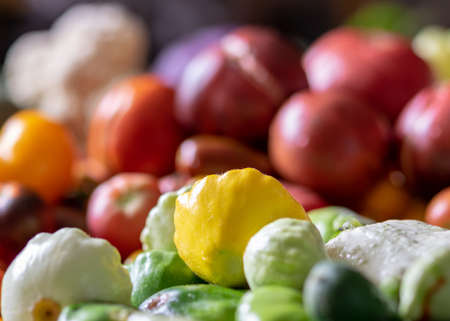 color photo with autumn vegetables on the table, different colors, shapes and types of vegetables prepared for home canning, vegetable fragments, autumn harvest timeの写真素材