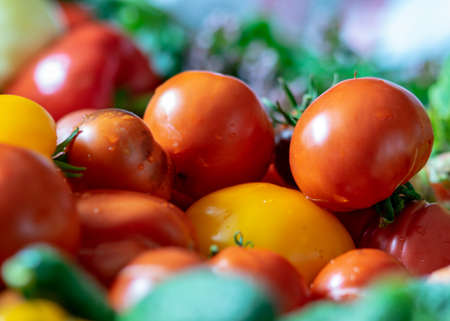 color photo with autumn vegetables on the table, different colors, shapes and types of vegetables prepared for home canning, vegetable fragments, autumn harvest timeの写真素材