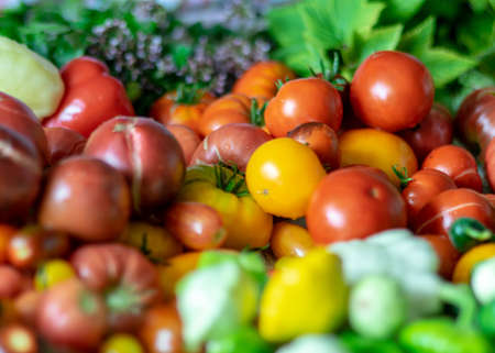 color photo with autumn vegetables on the table, different colors, shapes and types of vegetables prepared for home canning, vegetable fragments, autumn harvest timeの写真素材