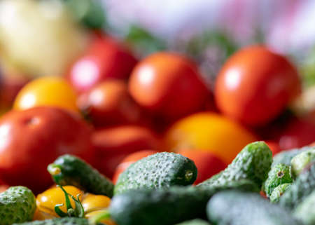 color photo with autumn vegetables on the table, different colors, shapes and types of vegetables prepared for home canning, vegetable fragments, autumn harvest timeの写真素材