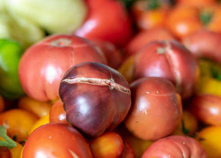 color photo with autumn vegetables on the table, different colors, shapes and types of vegetables prepared for home canning, vegetable fragments, autumn harvest timeの写真素材