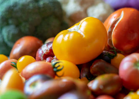 color photo with autumn vegetables on the table, different colors, shapes and types of vegetables prepared for home canning, vegetable fragments, autumn harvest timeの写真素材