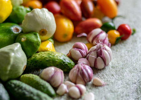 color photo with autumn vegetables on the table, different colors, shapes and types of vegetables prepared for home canning, vegetable fragments, autumn harvest timeの写真素材